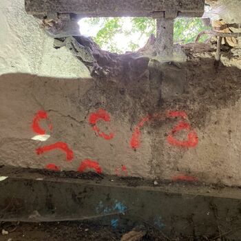 An abandoned bunker in the woods An abandoned bunker in the woods