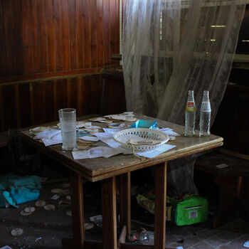 Schimmel für das Mittagessen