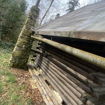 Cabin in the woods Cabin in the woods