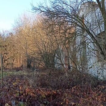 former grove house...