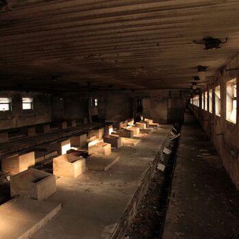 JZD, co se dle sídla jmenovat nesmělo