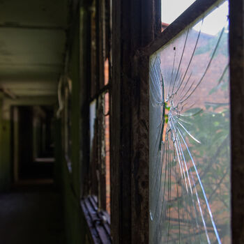 Pomalu mizející železárny Pomalu mizející železárny