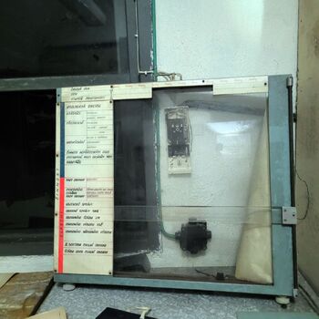 Ein Welpe mit Rüssel