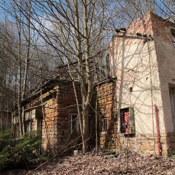 Gartenarbeit ab 1940