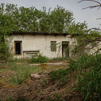 Pigsty and stables Pigsty and stables
