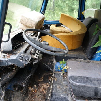 Už asi nevyjedou...