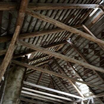 Abandoned Farmer's house