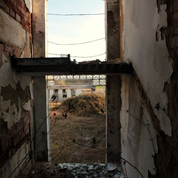 Riesiges Sparschwein