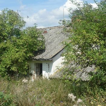 house architecture building roof home tree