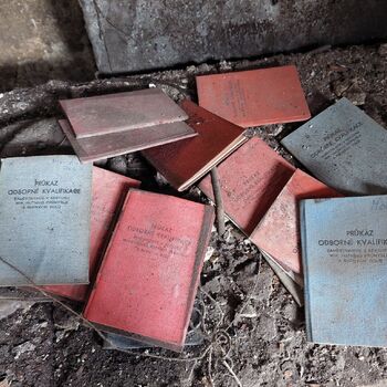 Ironworks with a mole Ironworks with a mole