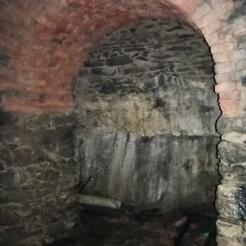 ruins of the blue house