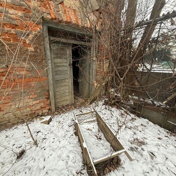 Aunt Omega, or I Believe in Fairies