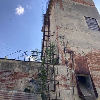 The abandoned sawmill