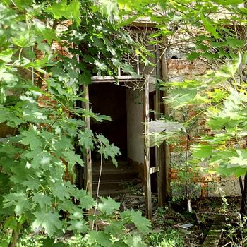 holubník přístřeší ochranný kryt ptačí krmítko