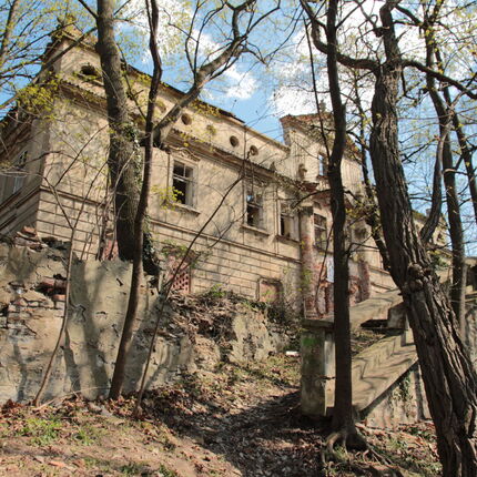 Castle in the metropolis