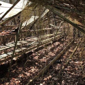 Gartenarbeit ab 1940