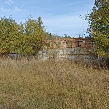 Scheune Wirtschaftsgebäude Gebäude Landschaft Struktur Baum