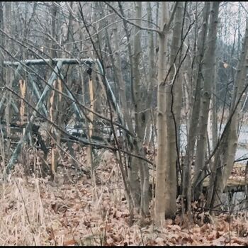Former recreation centre 🏚️🌲🌲
