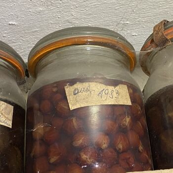 Abandoned farmhouses side by side.