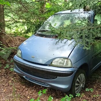 Spitzenschiff 9z10ti...