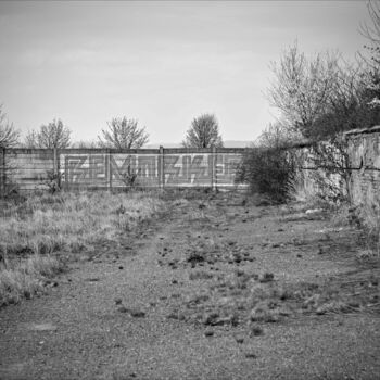 plot červa plot bariéra zábradlí krajina strom