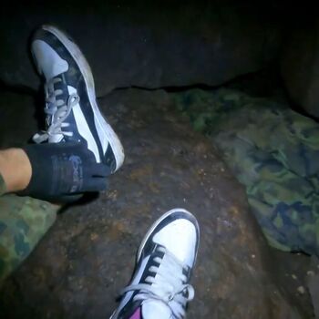 Schmale Galerie-Kletterpflanzen