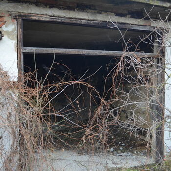 Vinarna/diskotéka u Veverek