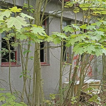 I don't know about 2023