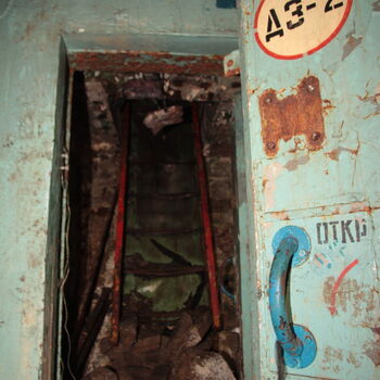 Maple 52 with swimming pool