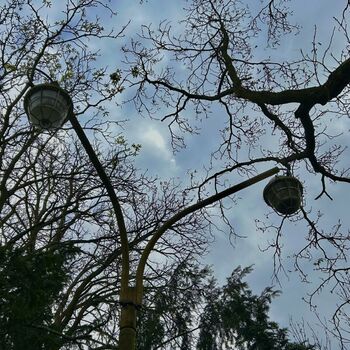 ᴀʙᴀɴᴅᴏɴᴇᴅ ꜱᴜᴍᴍᴇʀ ᴄɪɴᴇᴍᴀ