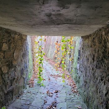 Dešťové stoky ⬇️