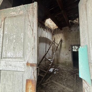 Aunt Omega, or I Believe in Fairies