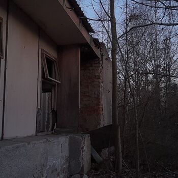 Calf (2025) Calf (2025)