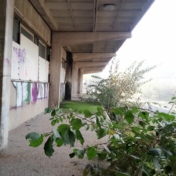 Architektura Architektura