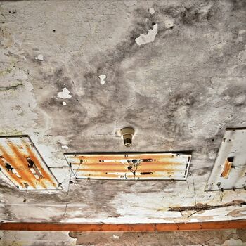 mousetrap trap device old