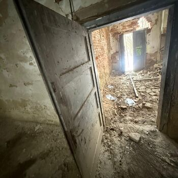 Aunt Omega, or I Believe in Fairies