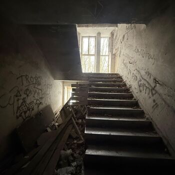 Aunt Omega, or I Believe in Fairies