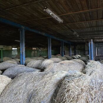Abandoned cow shed🐮 Abandoned cow shed🐮