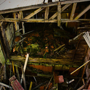 🏕️ Tábor, kde kdysi trávily léto stovky dětí… dnes ho pohlcuje ticho a příroda