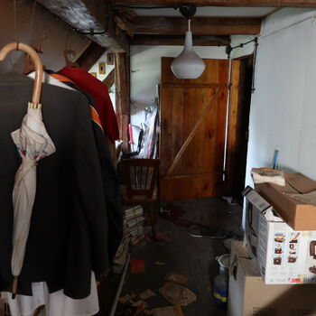 A grove in the borderlands.