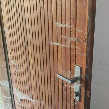 Schule in der Natur_2025