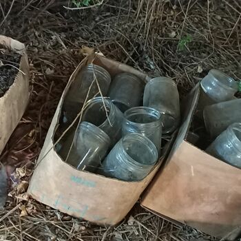 Abandoned House 2022