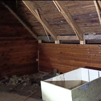 Bývalé rekreační středisko 🏚️🌲🌲