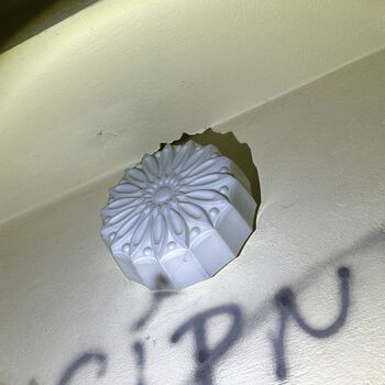 ɴᴇᴍᴏᴄɴɪᴄᴇ ɴᴇᴍᴏᴄɴɪᴄᴇ