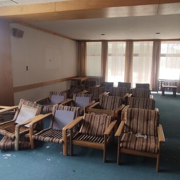 Die Schönheit der österreichischen hor🇦🇹🏔️❤️ Die Schönheit der österreichischen hor🇦🇹🏔️❤️