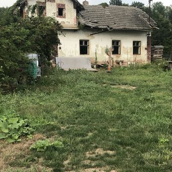 Cottage in the field