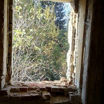 windowsill sill structural member support old windowsill sill structural member support old