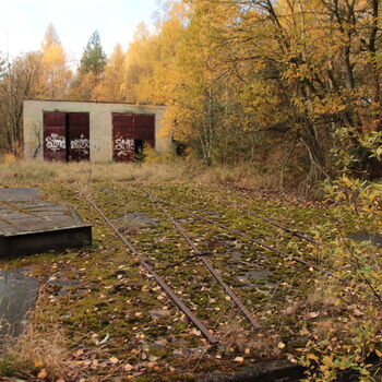 VEGA Group VEGA Group