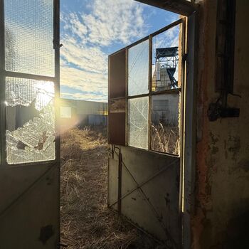 hory, DOLY, černý pes