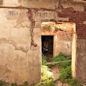 Remembering Elias before the fire